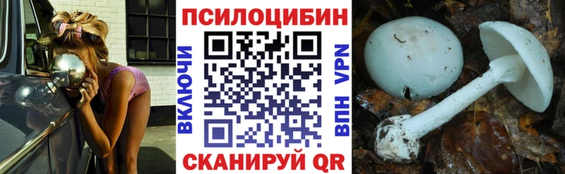Псилоцибиновые грибы MAGIC MUSHROOMS  купить наркоту  Пролетарск 